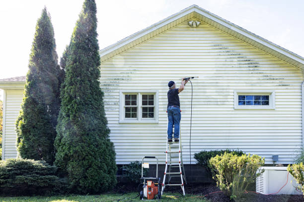 Best Deck Cleaning Services  in Williamsport, PA